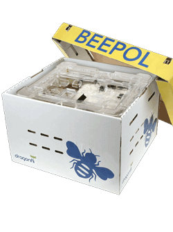 Beepol bumblebee hive