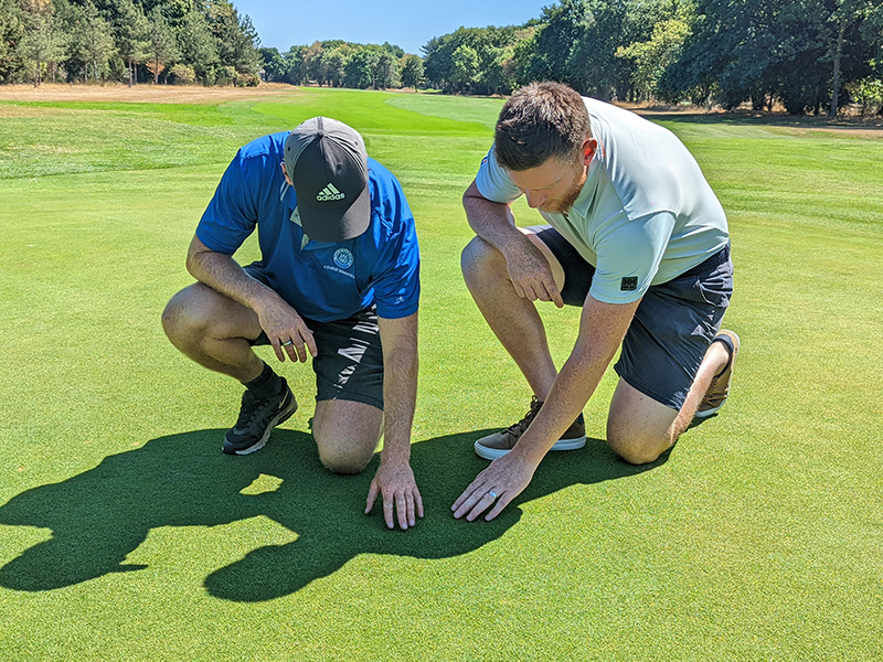image of two greenkeepers inspecting turf on golf course 