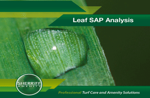 Leaf SAP Analysis