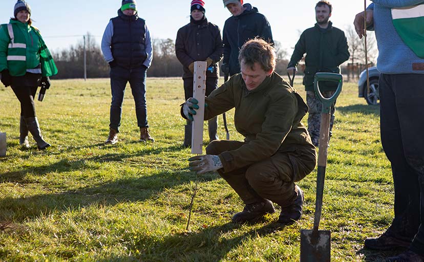 WhiptecBio hedge and tree guards