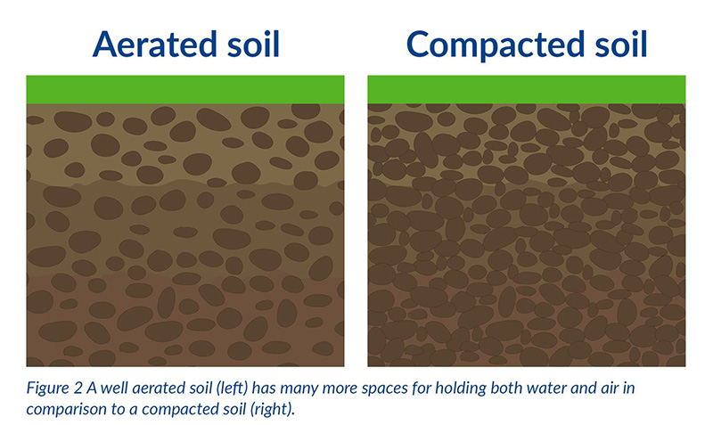 image of well aerated soil compared to compacted soil