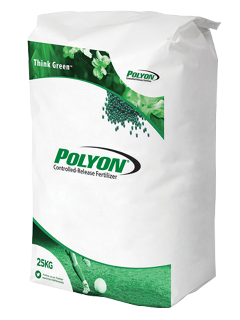 Polyon