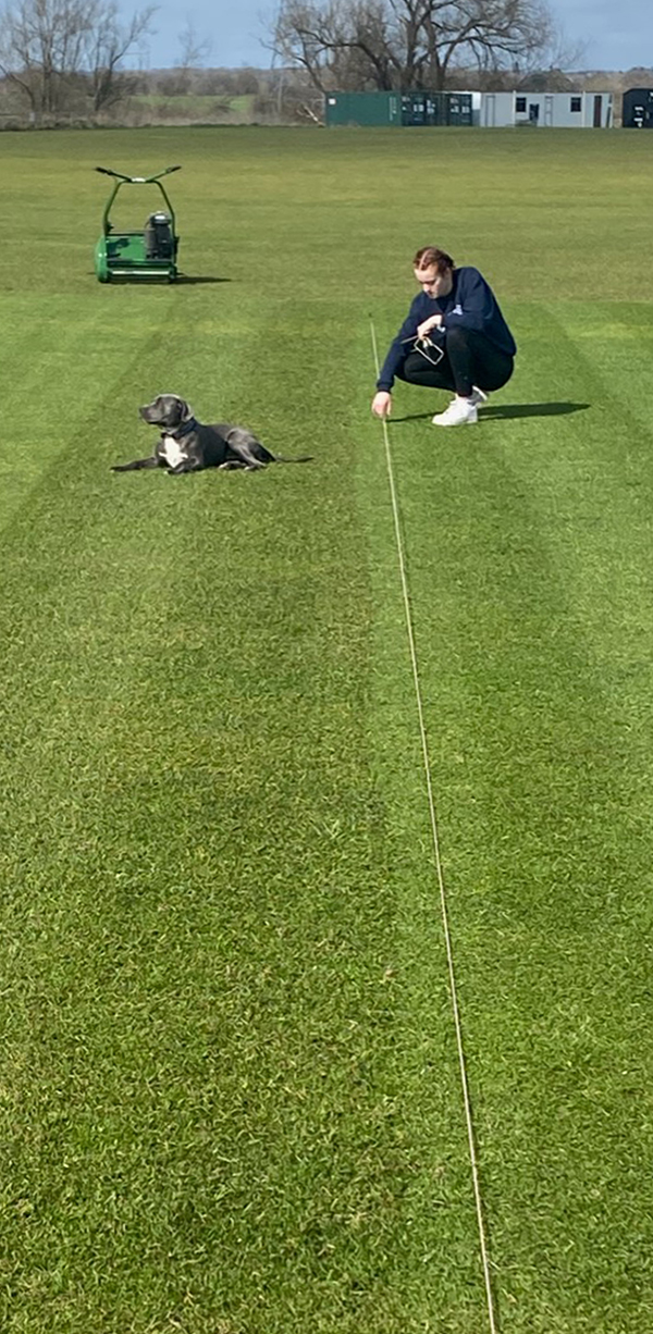 person marking out cricket pitch