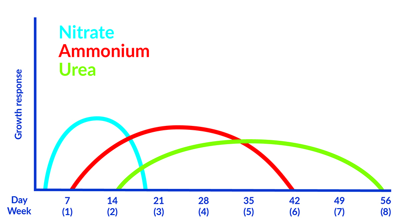 illustration showing growth responses of Nitrate, Ammonium and Urea