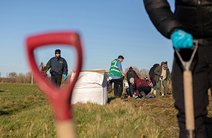 Agrovista Amenity celebrates National Tree Week