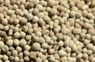 New Product - Calcipirll