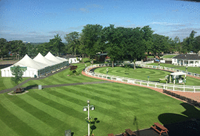 Marathon is the front runner at Hamilton Park