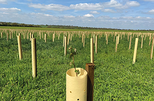 Agrovista Amenity to Make Exciting Debut at GroundsFest 2024