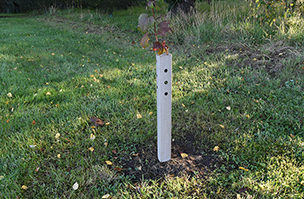 Biodegradable tree guards reduce environmental impact
