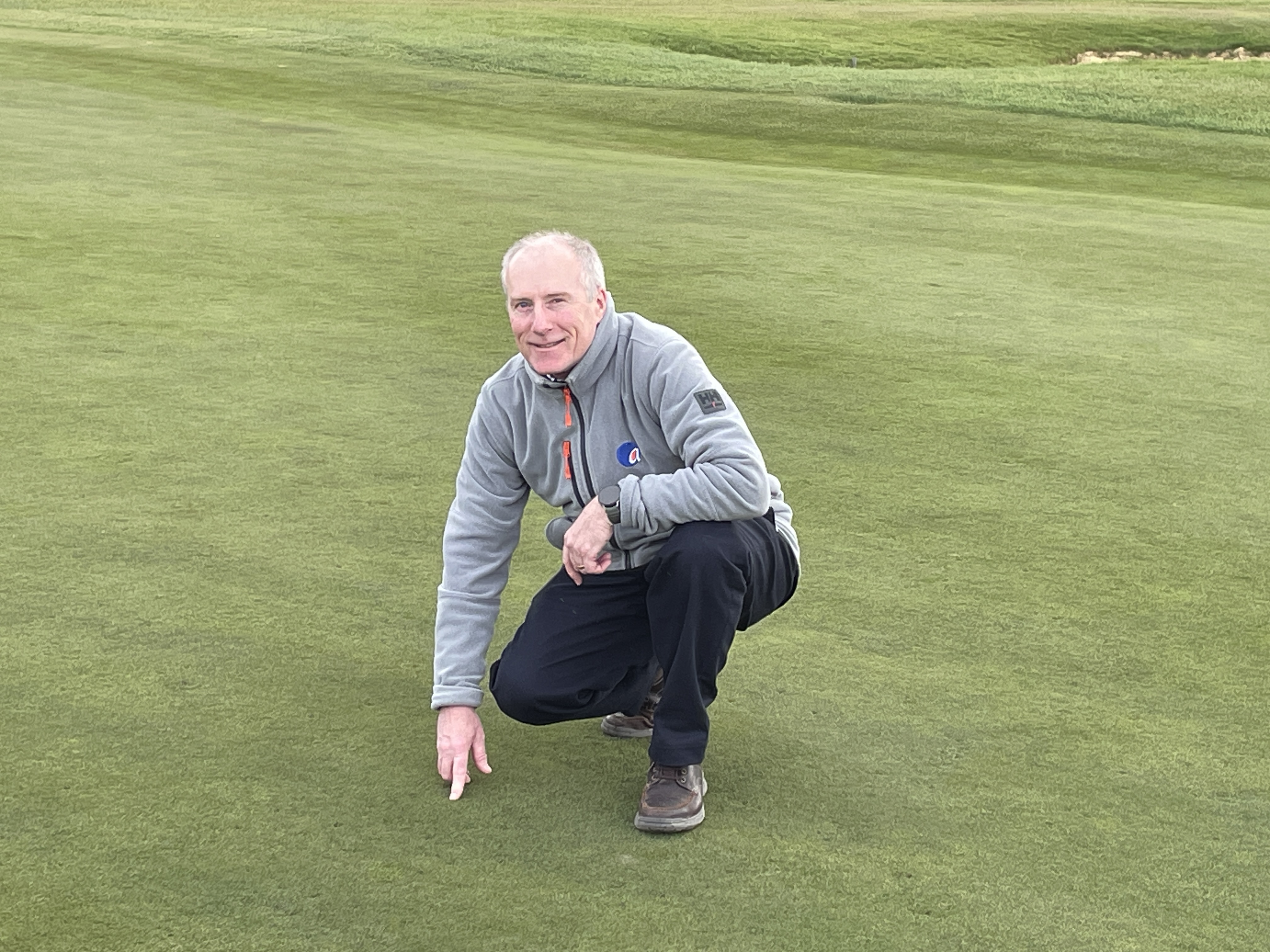 Summer Turf Disease