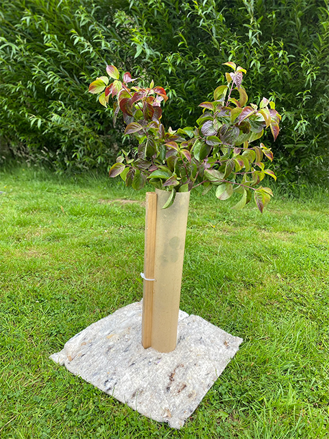 BioWool® weed suppressant mulch mats