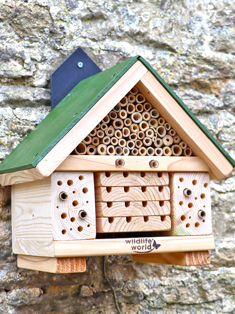 Citizen science bee hotel - Wildlife World