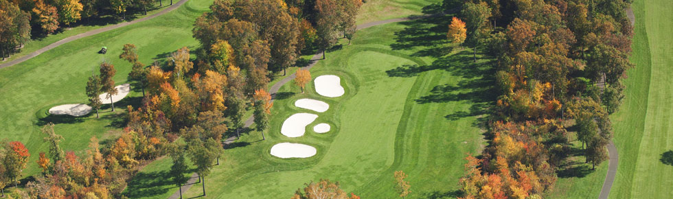 Attraxor helps control Poa annua
