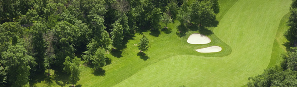 Agrovista Amenity - The Winning Formula