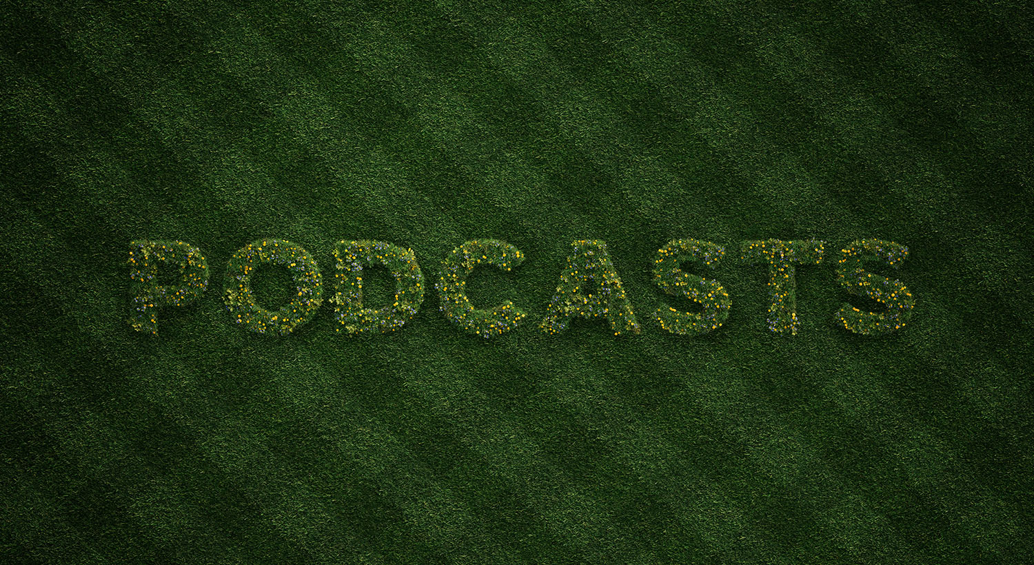 The Turf Hub podcast