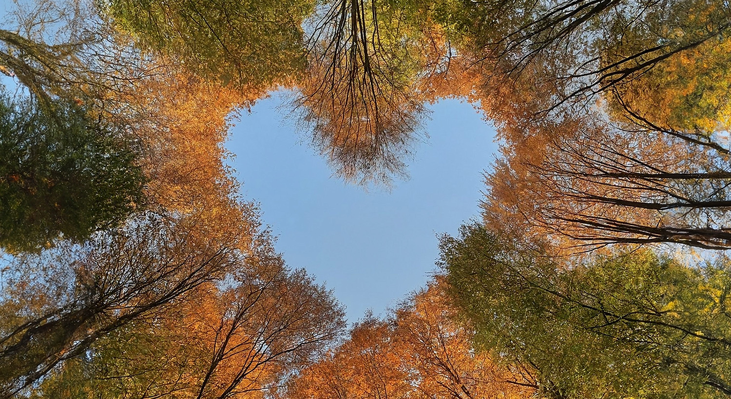 The natural choice Slider 3