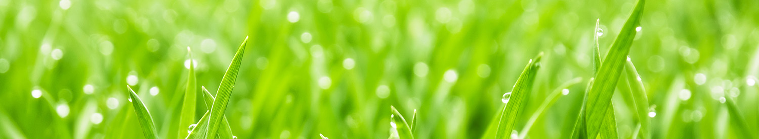 Viano organic fertilisers