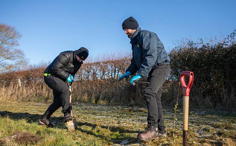 WhiptecBio hedge and tree guards