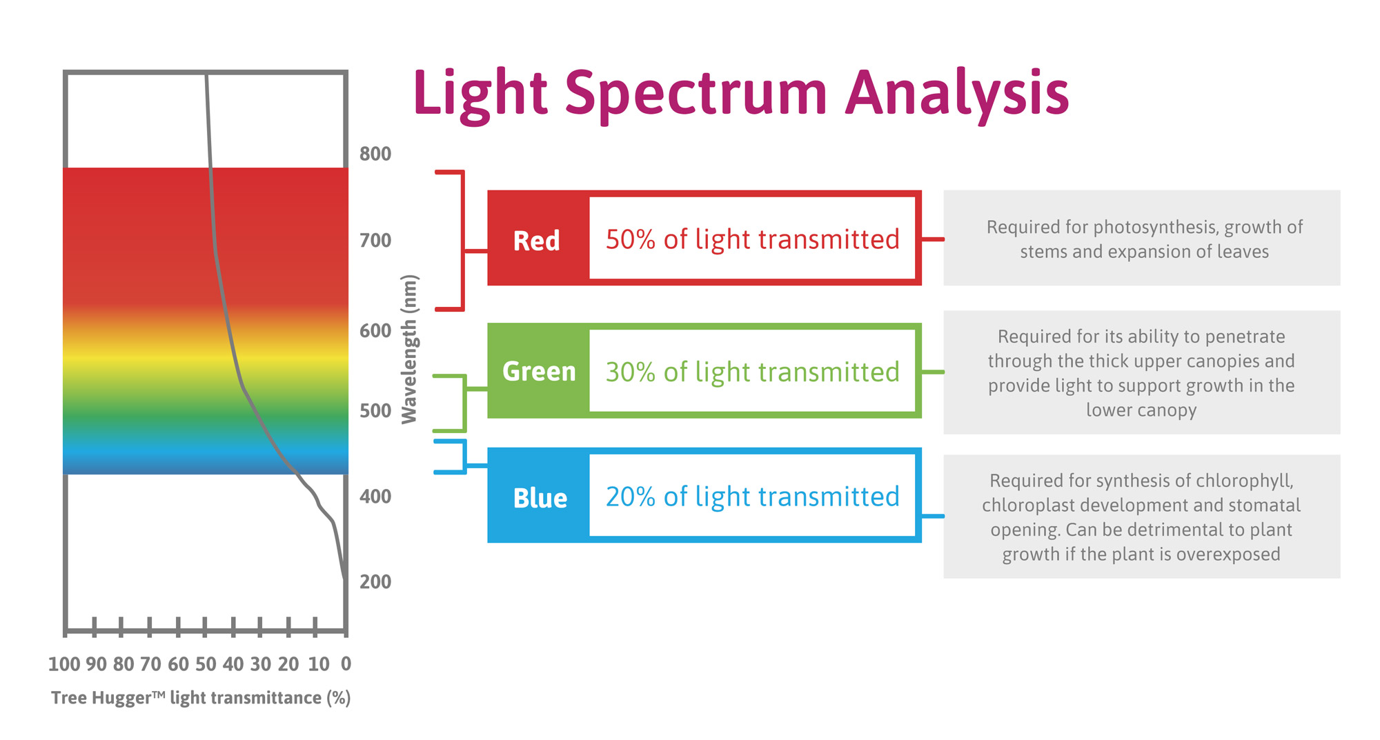 Light Spectrum Analysis