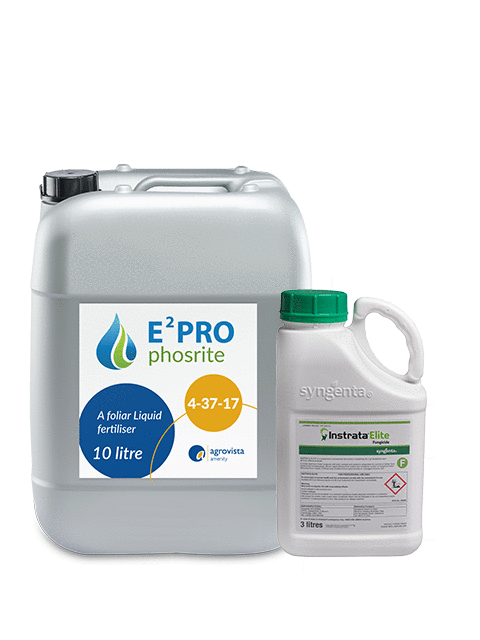 Anthracnose package 1