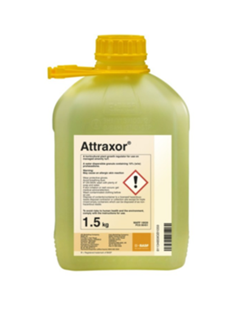 Attraxor
