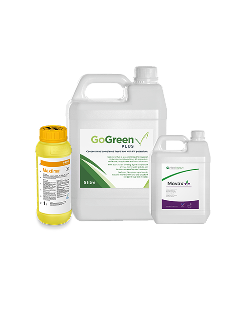 FP 01 Fungicide package