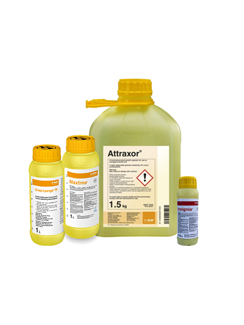 FP 05 Fungicide Package
