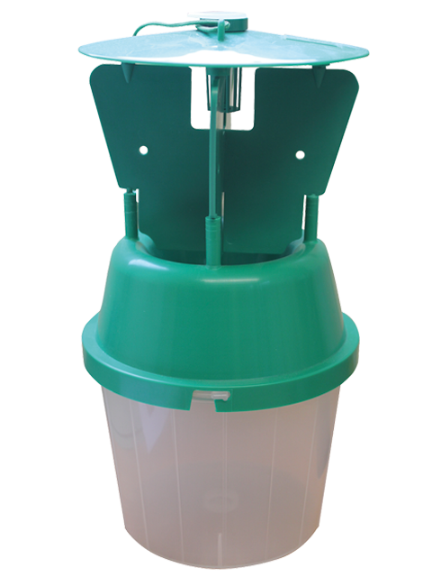 Garden chafer traps