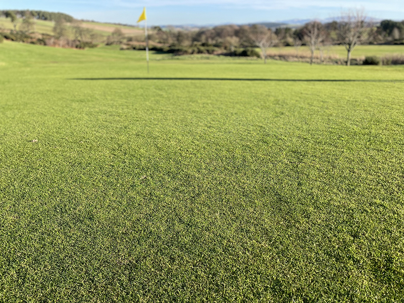 Jubilant Jedbugh praises Agrovista Amenity programme