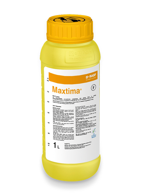 Maxtima