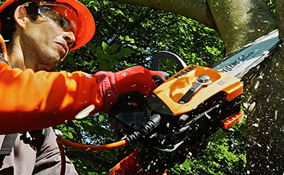 Pellenc Selion C21 HD - top handle chainsaw