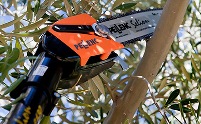 Pellenc Selion pole saw