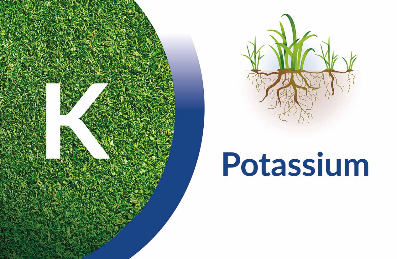 Potassium Overview