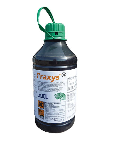Praxys