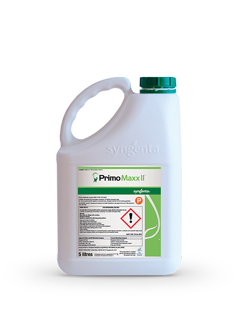 Primo Maxx II