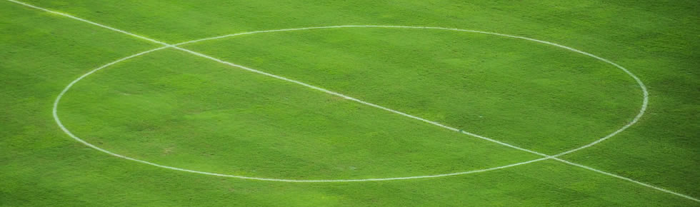 Grass marking paints