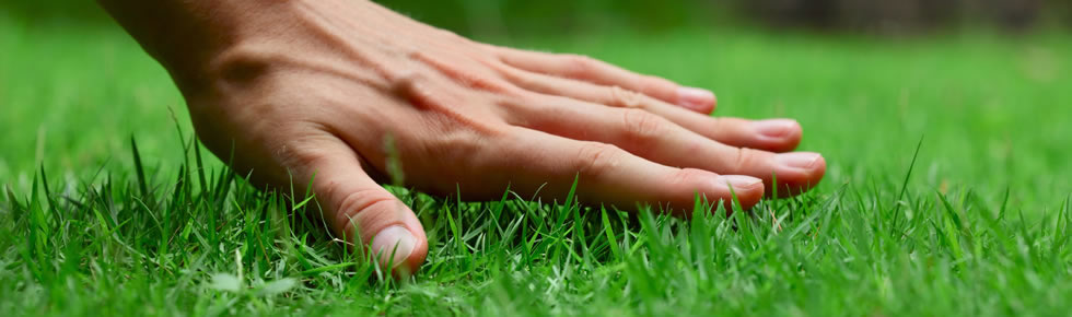 Turf health packages
