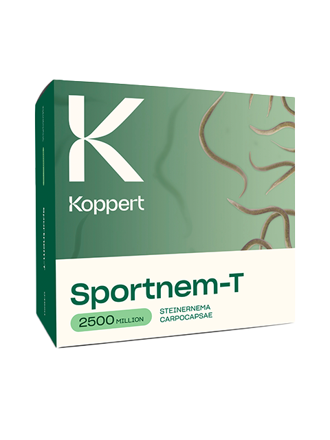 Sportnem T