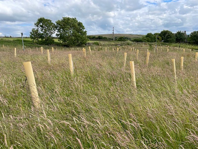 Agrovista Amenity launches biodegradable tree guards