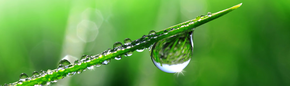 Dew dispersants