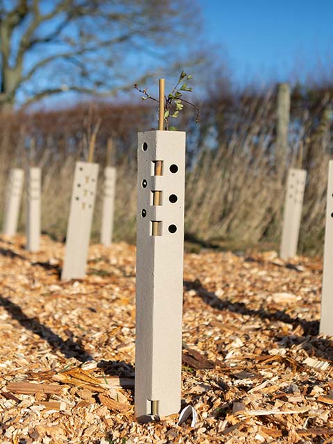 WhiptecBio tree & hedge guard