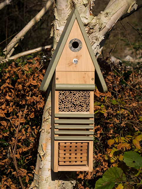 Insect Study Block Area Insect study centre - Wildlife World - Agrovista Amenity