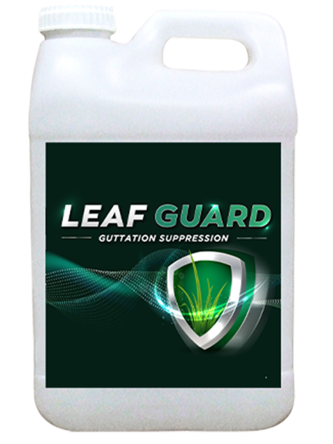 Leaf guard