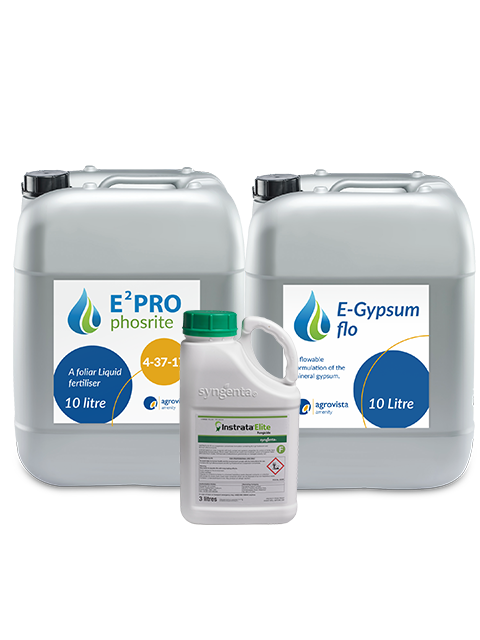 AN2 Anthracnose package
