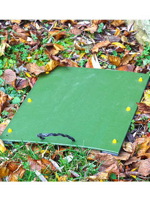 Refugia board - Wildlife World
