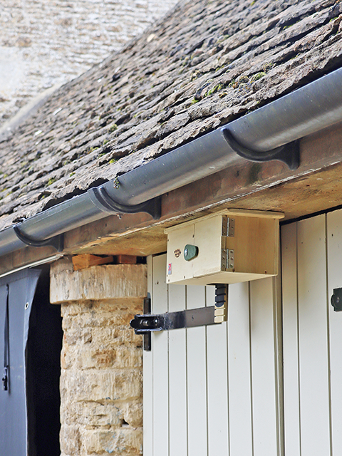 Swift eaves box - Wildlife World