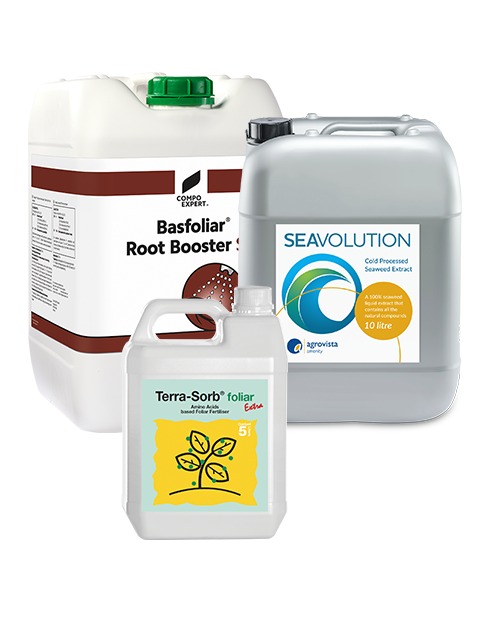 Turf Health Package 11