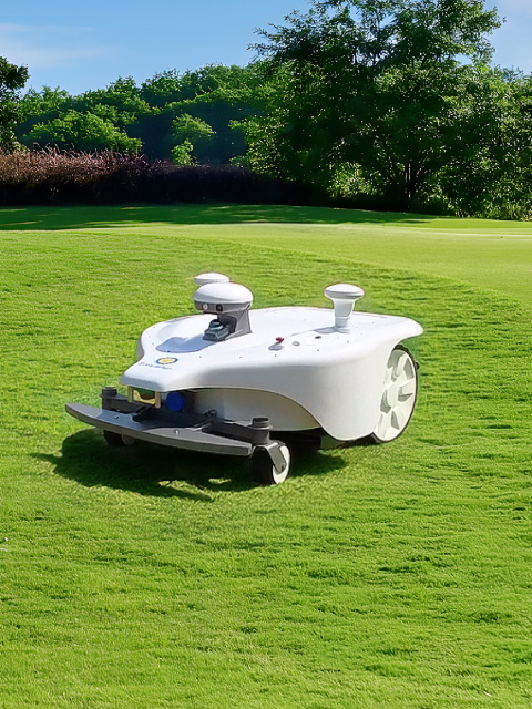 THOR Robotic Mower